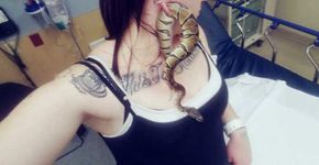 Mulher para no hospital com cobra presa na sua orelha