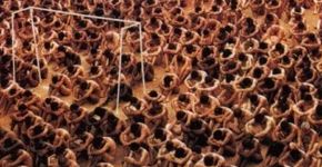No país das calças bege: ato relembra 22 anos do Massacre do Carandiru