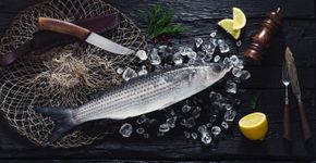 Foto: (iStock)