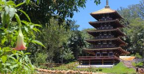 Foto: (Divulgação/Torre de Miroku)