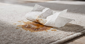 Como tirar mancha de café do tapete sem precisar de nenhum produto químico caro
