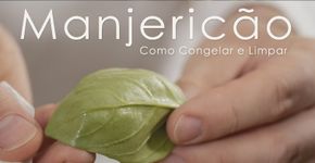 Como Congelar e Limpar Manjericão Fresco