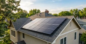 Painéis solares no telhado estão virando abrigo para pombos, mas especialistas dizem que uma simples tela pode funcionar melhor que aparelhos ultrassônicos sem prejudicar a ventilação