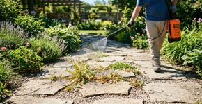Mais eficiente que o vinagre branco, este produto de jardinagem tão apreciado remove ervas daninhas sem esforço