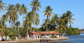 Ilhas paradisíacas brasileiras para conhecer no verão