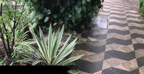 Compramos os melhores vídeos e fotos de gentilezas verdes