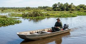 Ampliado em 2026 para mais de 183 mil hectares: o parque do Pantanal onde onça-pintada, ariranha e cervo-do-pantanal estão entre as espécies ameaçadas protegidas