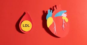 Colesterol alto: 7 fatores que aumentam o risco para o coração