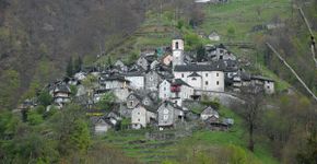 Foto: (Böhringer Friedrich/Wimiedia Commons)