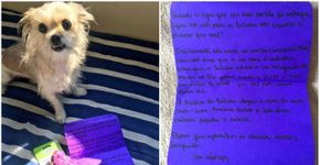 Cachorra come cartão de crédito e empresa responde com surpresa