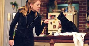 As 13 vezes que Salem, o gato da Sabrina, resumiu a vida
