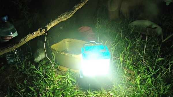 A invenção recebeu prêmios de sustentabilidade e empreendedorismo (Foto: Reprodução/SALt)