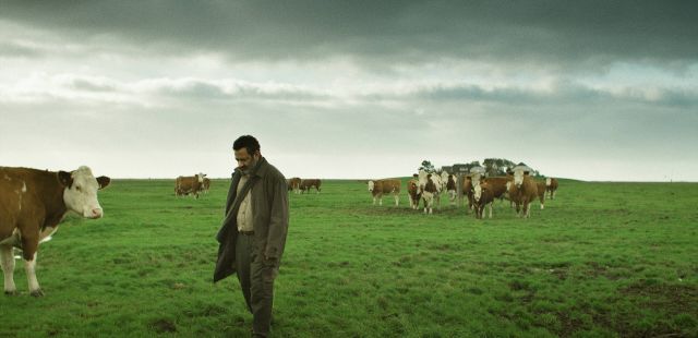 49ª Mostra Internacional de Cinema em São Paulo