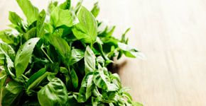 Menos dinheiro, mais verdura: 15 alimentos que você pode replantar