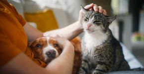 Foto: (Chalabala/istock)