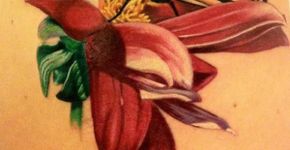 Conheça uma série de belas tatuagens inspiradas nas borboletas