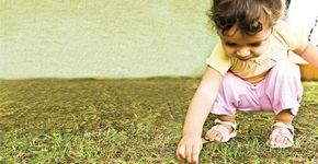 ‘A Educação infantil é complementar à ação da família’, afirma especialista