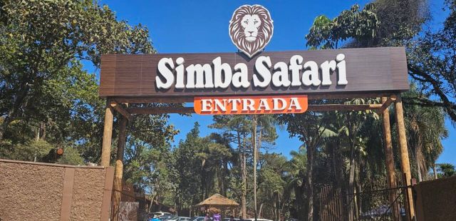 Simba Safari