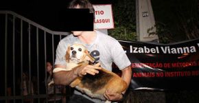Entenda como foi o resgate dos beagles do Instituto Royal e saiba como ajudar