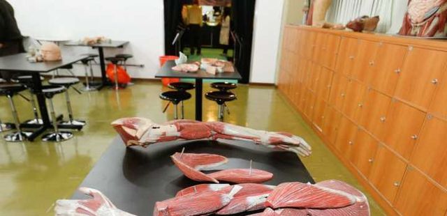 Museu de Anatomia da USP