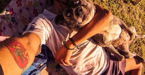 Casal viaja pela Europa cuidando de cachorros abandonados