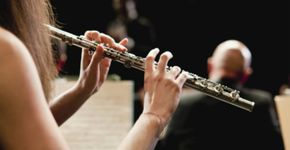 Vagas para músicos: Osesp e Banda Sinfônica de Córdoba contratam