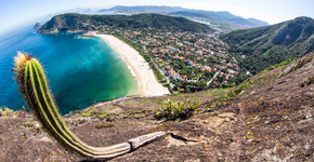 Guia dá dicas de trilhas no Parque da Serra da Tiririca