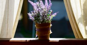 Foto: (elenaleonova/istock)