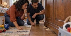 Família comprou um guarda roupa usado para economizar, montou o móvel no quarto das crianças e só meses depois relacionou os pequenos montes de pó no chão ao que havia trazido para dentro de casa