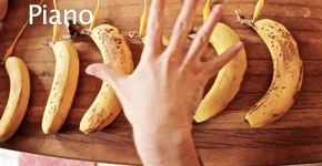 Estudantes do MIT transformam frutas, animais e até humanos em teclados