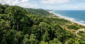 Oito áreas protegidas, 112 mil hectares de Mata Atlântica e restingas e uma concentração extraordinária de espécies endêmicas: o trecho entre o sul da Bahia e o norte do Espírito Santo que preserva alguns dos remanescentes mais valiosos da floresta costeira brasileira