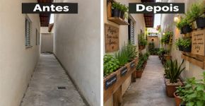 Ela transformou um corredor de menos de dois metros em uma pequena horta e descobriu que o problema nunca tinha sido falta de espaço
