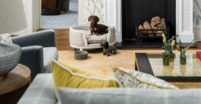 Hotel em Londres transforma estadia de cães em parte da experiência de quem viaja com pet