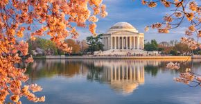 Foto: (Sean Pavone/iStock)