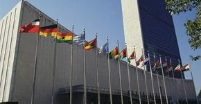 ONU leva jovens para curso gratuito em Nova York