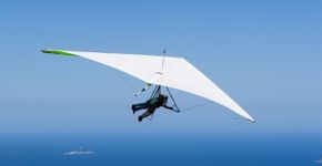 Foto: (Richmatts / iStock)