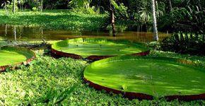 9 parques nacionais para conhecer no Brasil