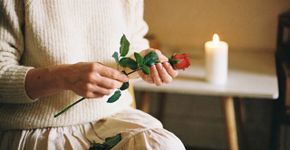 4 passos do ritual com folhas de rosa para atrair amor verdadeiro