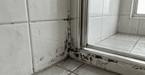 Eliminar o mofo do banheiro é um ritual anual de cinco minutos que substitui o uso de água sanitária, muitas vezes subestimada
