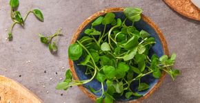 Foto: (iStock/ homydesign)