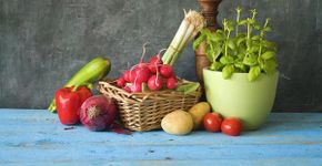 Curso profissionalizante de gastronomia