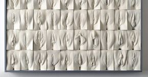 A Grande Muralha da Vagina