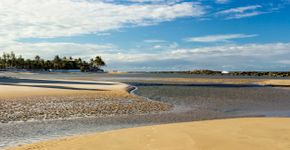 Foto: (Istock)