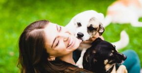 Compras para a casa que ajudam os animais de abrigos