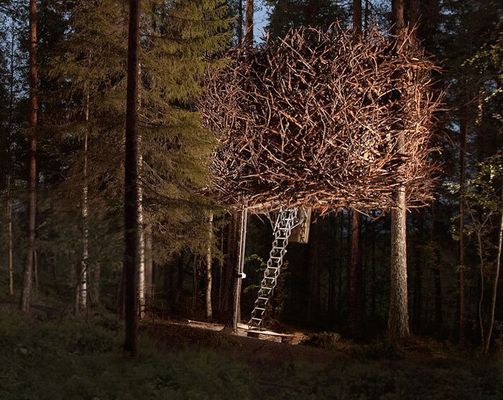 Suécia (Foto: Divulgação Tree Hotel)