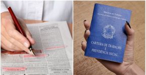 Foto: (iStock | cifotart | pk-photos)