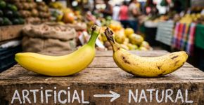 Não se deixe enganar pela cor amarela da banana: o que observar antes de comprar a fruta madura