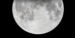 Foto: (Łukasz Szczepański/iStock)