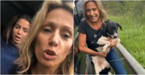 Foto: (Reprodução/Instagram Stories)