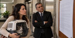 Condomínio aprova uma regra proibindo qualquer cachorro ou gato nos apartamentos, nova moradora chega com uma gata silenciosa e decide contestar a proibição